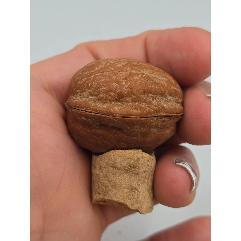 Bottle Stopper Lot of 10 Mixed Good Jack Daniels Wood Cork‎ Ceramic